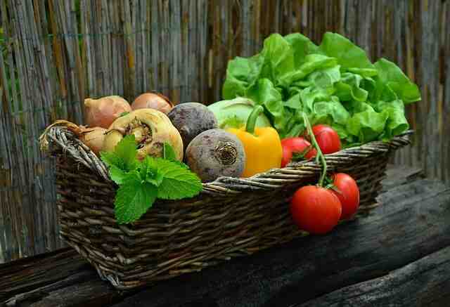 Comment associer les legumes au jardin