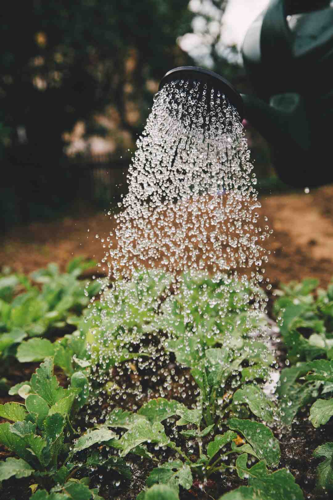 Comment éviter la condensation dans un abris de jardin en tôle