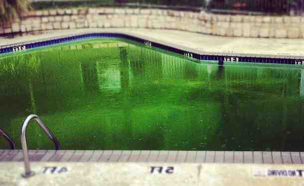 Comment rattraper une eau verte de piscine