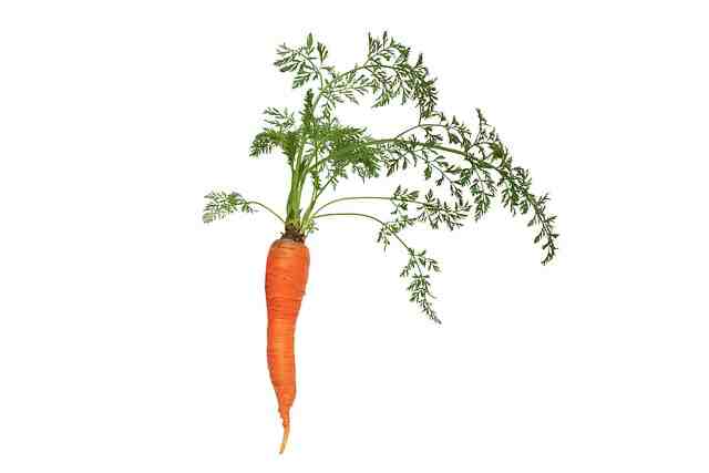 Comment savoir si les carottes sont bonnes ?