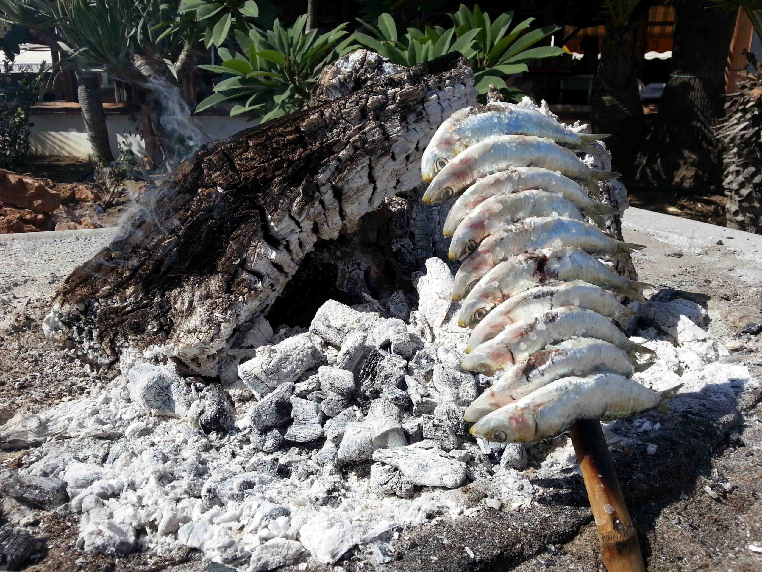 Comment faire griller des sardines au barbecue